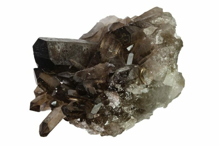 Dark Smoky Quartz Crystal Cluster - Brazil #134950